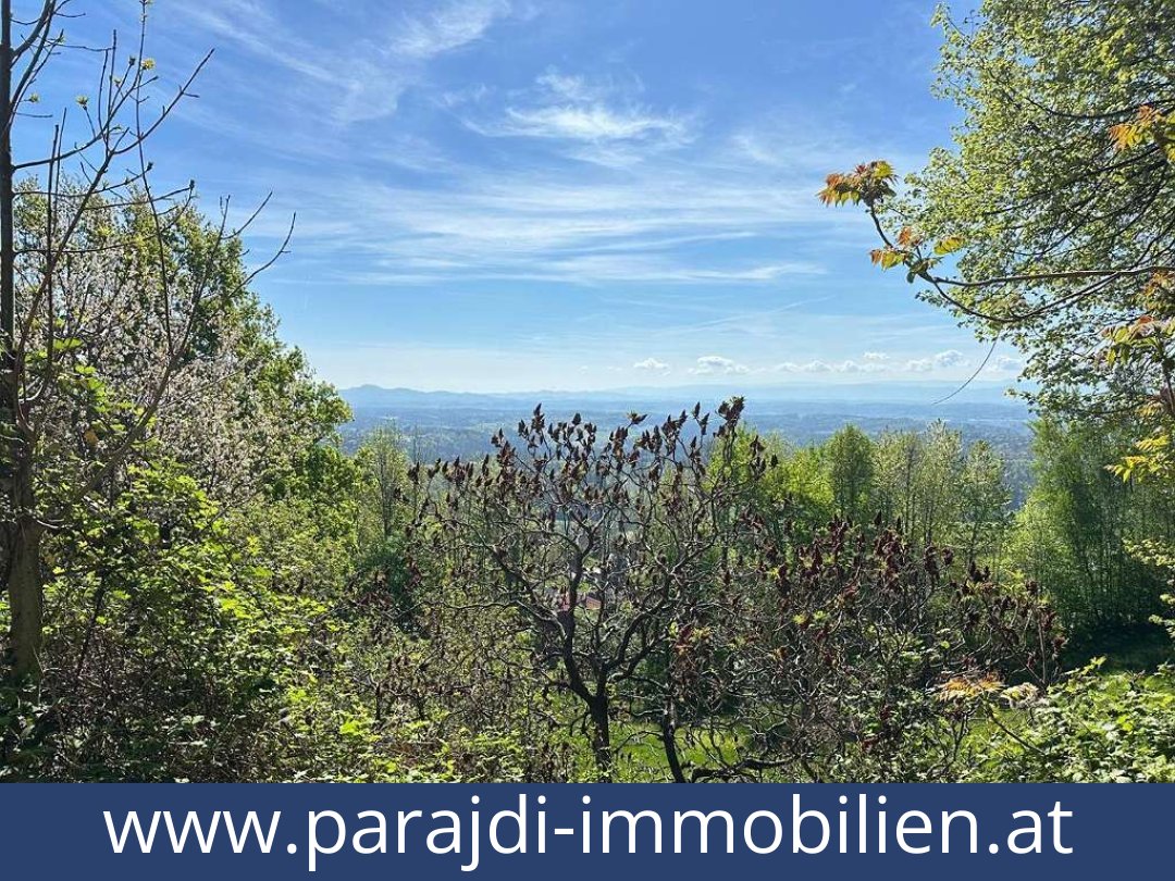 austria-homes-bad gams-8524-20251010221757-0032401009.jpg austria-homes-bad gams-8524-20251010221757-0032401009.jpg